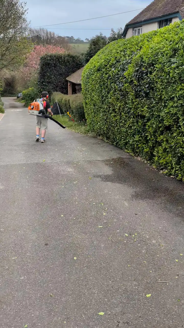 Tree surgery work by Tree Guys Kent