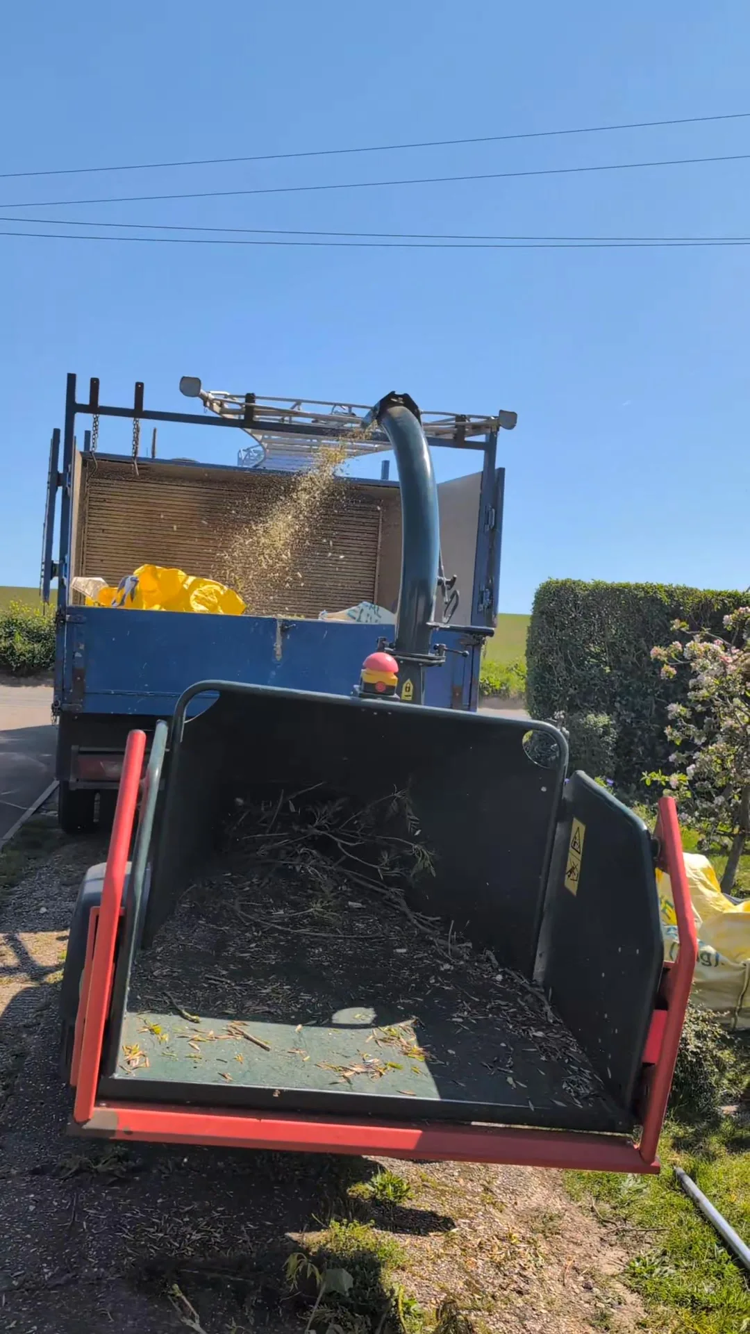 Tree surgery work by Tree Guys Kent