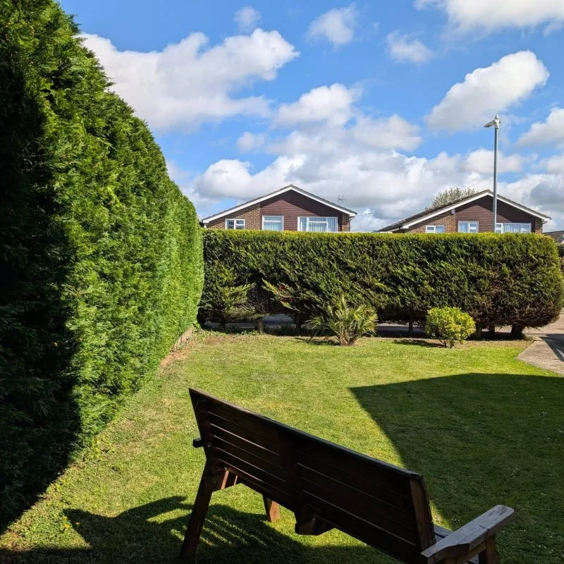 Hedge cutting in Canterbury
