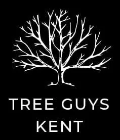 Tree Guys Kent