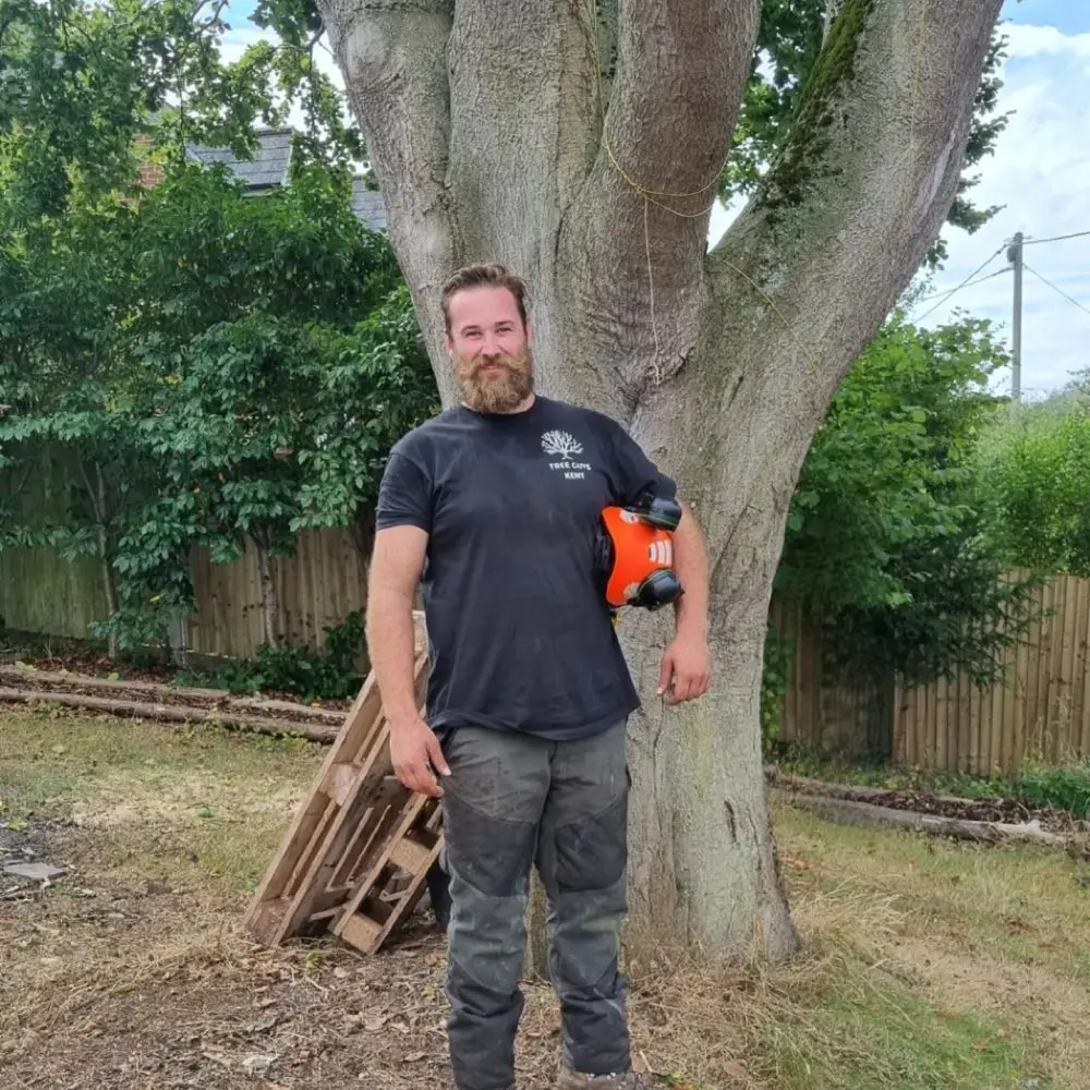 Tree surgery in Canterbury
