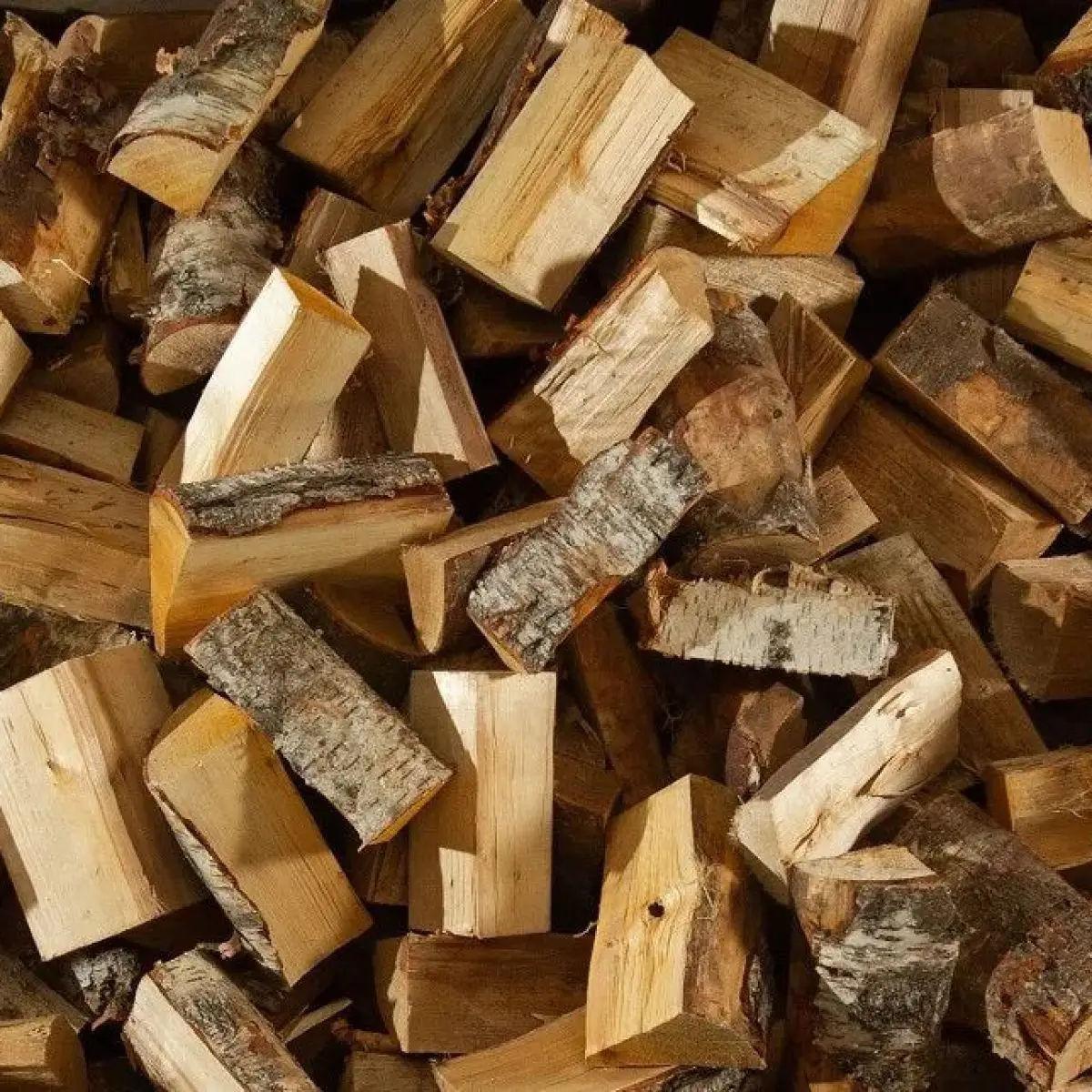 Tree surgery logs in Kent